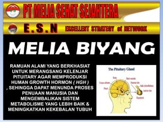 RAMUAN ALAMI YANG BERKHASIAT
   UNTUK MERANGSANG KELENJAR
    PITUITARY AGAR MEMPRODUKSI
   HUMAN GROWTH HORMON ( HGH )
, SEHINGGA DAPAT MENUNDA PROSES
        PENUAAN MANUSIA DAN
       MENGEMBALIKAN SISTEM
   METABOLISME YANG LEBIH BAIK &
 MENINGKATKAN KEKEBALAN TUBUH
 