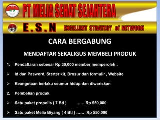 CARA BERGABUNG
         MENDAFTAR SEKALIGUS MEMBELI PRODUK
1.   Pendaftaran sebesar Rp 30,000 member memperoleh :

    Id dan Pasword, Starter kit, Brosur dan formulir , Website

    Keangotaan berlaku seumur hidup dan diwariskan

2.   Pembelian produk

    Satu paket propolis ( 7 Btl )   …… Rp 550,000

    Satu paket Melia Biyang ( 4 Btl ) …… Rp 550,000
 
