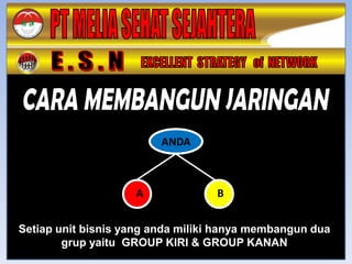 ANDA



                    A              B


Setiap unit bisnis yang anda miliki hanya membangun dua
        grup yaitu GROUP KIRI & GROUP KANAN
 