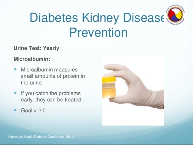 high protein diet and high blood pressure