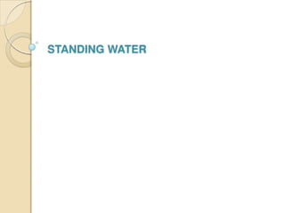 Standing water