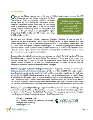 Social Support and Youth Suicide | PDF