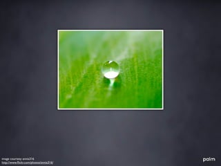 image courtesy annia316
http://www.ﬂickr.com/photos/annia316/
 