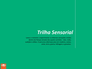 Trilha Sensorial
 Levou o visitante a experimentar as diversas sensações vividas
    dentro do Parque através dos quatro sentidos - tato, visão,
audição e olfato. O percurso alternava piso em madeira, seixos,
                       areia, terra, grama, folhagens e gravetos.
 
