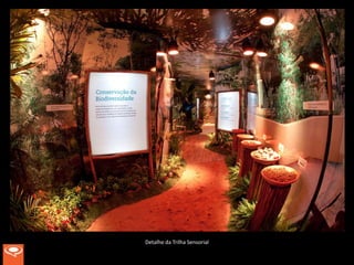 Detalhe da Trilha Sensorial
 