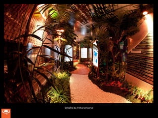 Detalhe da Trilha Sensorial
 