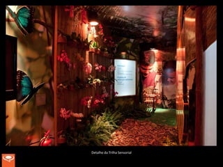 Detalhe da Trilha Sensorial
 