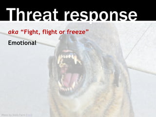 Photo by State Farm [link]
Threat response
aka “Fight, flight or freeze”
Emotional
 