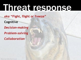Photo by State Farm [link]
Threat response
aka “Fight, flight or freeze”
Cognitive
Decision-making
Problem-solving
Collabo...