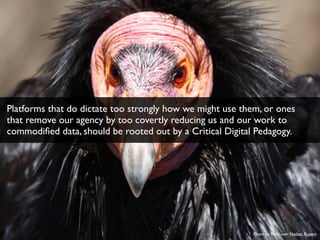 Photo by ﬂickr user Nathan Rupert
Platforms that do dictate too strongly how we might use them, or ones
that remove our agency by too covertly reducing us and our work to
commodiﬁed data, should be rooted out by a Critical Digital Pedagogy.
 