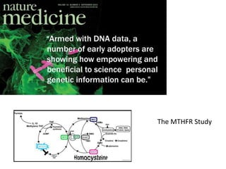 The MTHFR Study