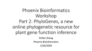 Phoenix Bioinformatics
Workshop
Part 2: PhyloGenes, a new
online phylogenetic resource for
plant gene function inference
Peifen Zhang
Phoenix Bioinformatics
2/26/2020
 