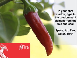 In your chat
window, type in
the predominant
element from the
ﬁve choices:
Space, Air, Fire,
Water, Earth
 