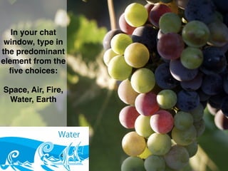 In your chat
window, type in
the predominant
element from the
ﬁve choices:
Space, Air, Fire,
Water, Earth
 