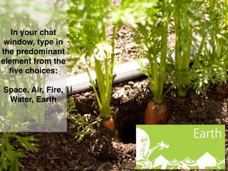 In your chat
window, type in
the predominant
element from the
ﬁve choices:
Space, Air, Fire,
Water, Earth
 
