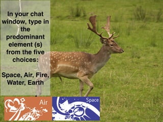 In your chat
window, type in
the
predominant
element (s)
from the ﬁve
choices:
Space, Air, Fire,
Water, Earth
 