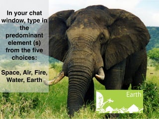 In your chat
window, type in
the
predominant
element (s)
from the ﬁve
choices:
Space, Air, Fire,
Water, Earth
 