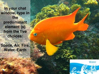 In your chat
window, type in
the
predominant
element (s)
from the ﬁve
choices:
Space, Air, Fire,
Water, Earth
 