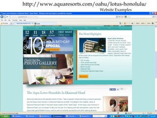 http://www.aquaresorts.com/oahu/lotus-honolulu/
                             Website Examples
 