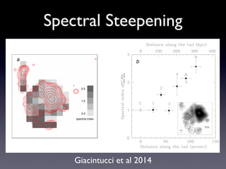 Spectral SteepeningMapping particle acceleration in RX J1720.1+2638
0.5
1.5
2.5
spectral index
beam
C
50 kpc
6
5
4
3
2
1
a b
— (a) Grayscale image of the spectral index distribution between 617 MHz and 1480 MHz in the minihalo and head-tail radio galaxy. The im
puted from images with similar noise (30 µJy beam−1) and same u−v range and restoring beam of 8′′ × 6′′. Overlaid are the 617 MHz conto
Giacintucci et al 2014
 