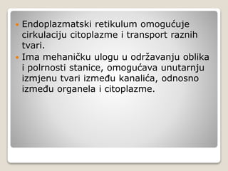  Endoplazmatski retikulum omogućuje
cirkulaciju citoplazme i transport raznih
tvari.
 Ima mehaničku ulogu u održavanju oblika
i polrnosti stanice, omogućava unutarnju
izmjenu tvari između kanalića, odnosno
između organela i citoplazme.
 