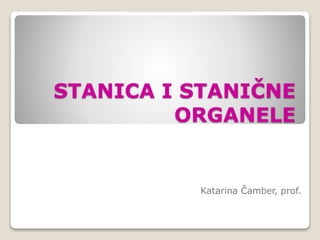 STANICA I STANIČNE
ORGANELE
Katarina Čamber, prof.
 