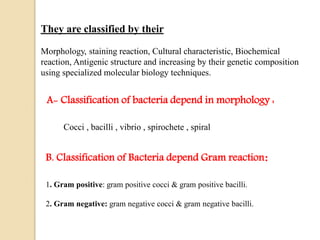 They are classified by their
Morphology, staining reaction, Cultural characteristic, Biochemical
reaction, Antigenic structure and increasing by their genetic composition
using specialized molecular biology techniques.
B. Classification of Bacteria depend Gram reaction:
1. Gram positive: gram positive cocci & gram positive bacilli.
2. Gram negative: gram negative cocci & gram negative bacilli.
A- Classification of bacteria depend in morphology :
Cocci , bacilli , vibrio , spirochete , spiral
 