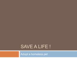 SAVE A LIFE !
Adopt a homeless pet
 