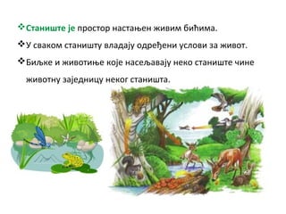 Станиште је простор настањен живим бићима.
У сваком станишту владају одређени услови за живот.
Биљке и животиње које насељавају неко станиште чине
животну заједницу неког станишта.
 