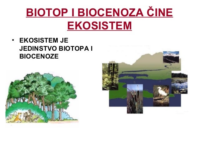 biotopi