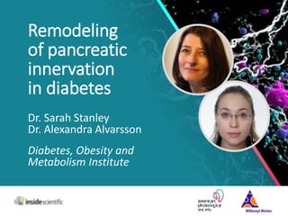 Remodeling
of pancreatic
innervation
in diabetes
Dr. Sarah Stanley
Dr. Alexandra Alvarsson
Diabetes, Obesity and
Metabolism Institute
 