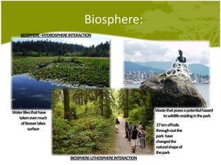 Biosphere:BIOSPHERE –HYDROSPHERE INTERACTIONWastethat poses a potentialhazard to wildliferesiding in the parkWater liliesthat have taken over much of Beaver lakes surface27 km ofTrailsthrough-out the park  have changedthe naturalshapeof the parkBIOSPHERE-LITHOSPHERE INTERACTION