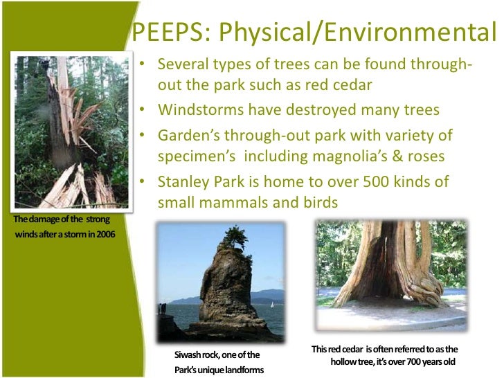 ocean park case study Ocean park: in the face of competition from hong kong disneyland case study solution, ocean park: in the face of competition from hong kong disneyland case study analysis, subjects covered competitive strategy market positioning project finance service management by grace loo, bennett yim source: university of hong kong 23 pa. ocean park case study Ocean park: in the face of competition from hong kong disneyland case study solution, ocean park: in the face of competition from hong kong disneyland case study analysis, subjects covered competitive strategy market positioning project finance service management by grace loo, bennett yim source: university of hong kong 23 pa.