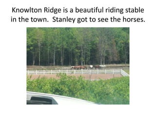 Knowlton Ridge is a beautiful riding stable in the town.  Stanley got to see the horses.
