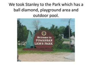 We took Stanley to the Park which has a ball diamond, playground area and outdoor pool.
