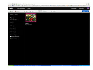 Stan livia emilia flickr