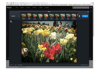 Stan livia emilia flickr
