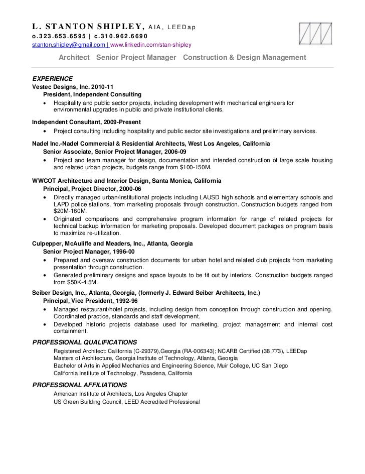 Professional resume independent consultant project manager