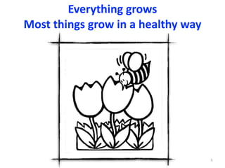 Everything	grows	
Most	things	grow	in	a	healthy	way		
5
 