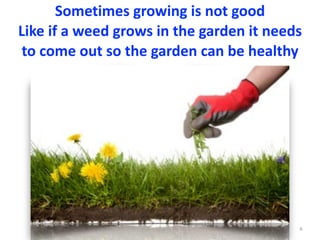 Sometimes	growing	is	not	good	
Like	if	a	weed	grows	in	the	garden	it	needs	
to	come	out	so	the	garden	can	be	healthy				
6
 