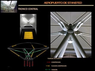 AEROPUERTO DE STANSTED TRONCO CENTRAL COMPRESION TENSION FLEXION COMPRESION FUERZAS ACTUANTES 