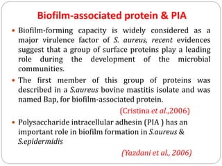 Biofilm-associated protein & PIA
 Biofilm-forming capacity is widely considered as a
major virulence factor of S. aureus, recent evidences
suggest that a group of surface proteins play a leading
role during the development of the microbial
communities.
 The first member of this group of proteins was
described in a S.aureus bovine mastitis isolate and was
named Bap, for biofilm-associated protein.
(Cristina et al.,2006)
 Polysaccharide intracellular adhesin (PIA ) has an
important role in biofilm formation in S.aureus &
S.epidermidis
(Yazdani et al., 2006)
 