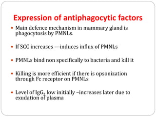 Expression of antiphagocytic factors
 Main defence mechanism in mammary gland is
phagocytosis by PMNLs.
 If SCC increases ---induces influx of PMNLs
 PMNLs bind non specifically to bacteria and kill it
 Killing is more efficient if there is opsonization
through Fc receptor on PMNLs
 Level of IgG2 low initially –increases later due to
exudation of plasma
 