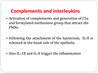Complements and interleukins
 Activation of complements and generation of C5a
and formylated methionine group that attract the
PMNs
 Following the attachment of the bacterium, IL-8 is
released at the basal side of the epithelia
 Also IL-1B and IL-8 trigger the inflammation
 