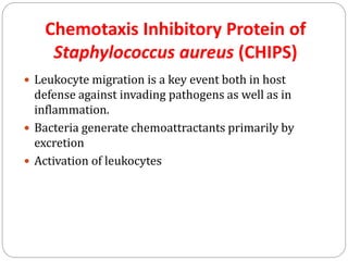 Chemotaxis Inhibitory Protein of
Staphylococcus aureus (CHIPS)
 Leukocyte migration is a key event both in host
defense against invading pathogens as well as in
inflammation.
 Bacteria generate chemoattractants primarily by
excretion
 Activation of leukocytes
 