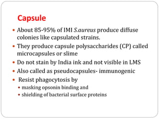 Capsule
 About 85-95% of IMI S.aureus produce diffuse
colonies like capsulated strains.
 They produce capsule polysaccharides (CP) called
microcapsules or slime
 Do not stain by India ink and not visible in LMS
 Also called as pseudocapsules- immunogenic
 Resist phagocytosis by
 masking opsonin binding and
 shielding of bacterial surface proteins
 