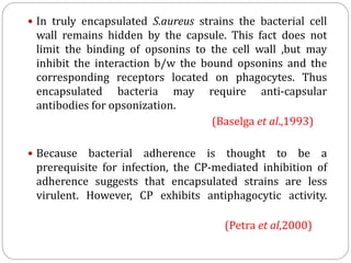 In truly encapsulated S.aureus strains the bacterial cell
wall remains hidden by the capsule. This fact does not
limit the binding of opsonins to the cell wall ,but may
inhibit the interaction b/w the bound opsonins and the
corresponding receptors located on phagocytes. Thus
encapsulated bacteria may require anti-capsular
antibodies for opsonization.
(Baselga et al.,1993)
 Because bacterial adherence is thought to be a
prerequisite for infection, the CP-mediated inhibition of
adherence suggests that encapsulated strains are less
virulent. However, CP exhibits antiphagocytic activity.
(Petra et al,2000)
 