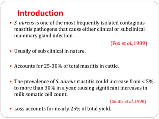 Introduction
 S. aureus is one of the most frequently isolated contagious
mastitis pathogens that cause either clinical or subclinical
mammary gland infection.
(Fox et al.,1989)
 Usually of sub clinical in nature.
 Accounts for 25-30% of total mastitis in cattle.
 The prevalence of S. aureus mastitis could increase from < 5%
to more than 30% in a year, causing significant increases in
milk somatic cell count.
(Smith et al.,1998)
 Loss accounts for nearly 25% of total yield.
 
