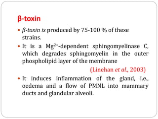 β-toxin
 β-toxin is produced by 75-100 % of these
strains.
 It is a Mg2+-dependent sphingomyelinase C,
which degrades sphingomyelin in the outer
phospholipid layer of the membrane
(Linehan et al., 2003)
 It induces inflammation of the gland, i.e.,
oedema and a flow of PMNL into mammary
ducts and glandular alveoli.
 