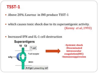 TSST-1
 Above 20% S.aureus in IMI produce TSST-1
 which causes toxic shock due to its superantigenic activity.
(Kenny et al.,1993)
 Increased IFN and IL-1 cell destruction
-Systemic shock
-Disseminated
intravascular
coagulation(DIC)
-Immunosuppression
 